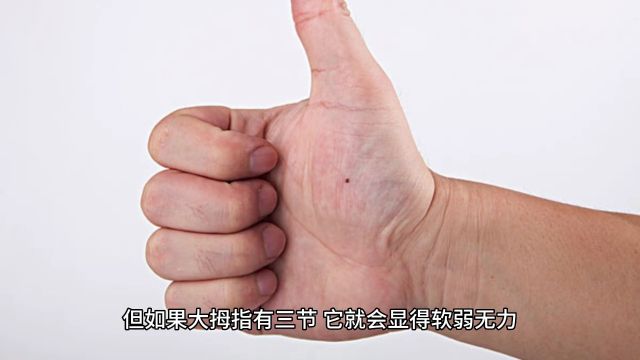 为什么人的大拇指只有两节