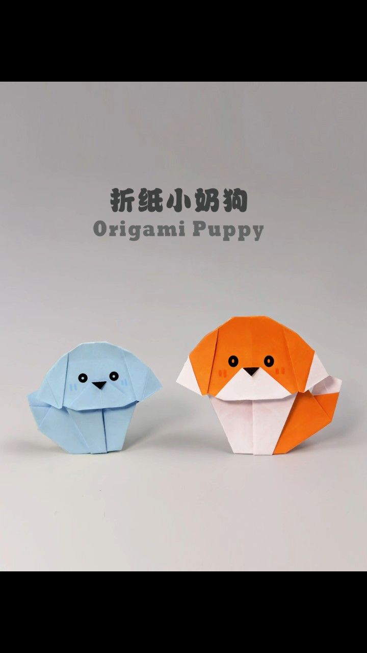 我这样一直看着你,你会带我走吗?折纸小奶狗