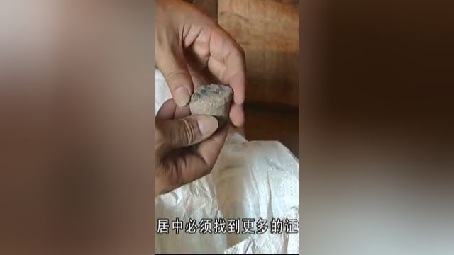 古气候探秘:野生动物大量出现,神秘气候待解密