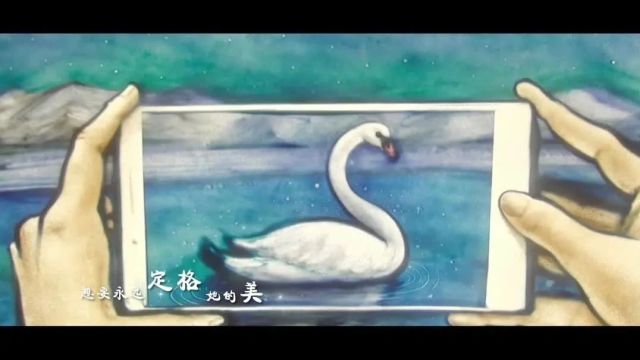 影像博州 | 赛里木湖之美~