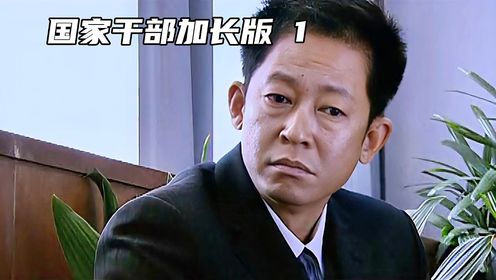 电视剧《国家干部》,超长版解说合集,一次看过瘾