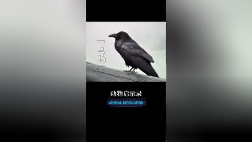 02你有哪些来不及弥补的遗憾02