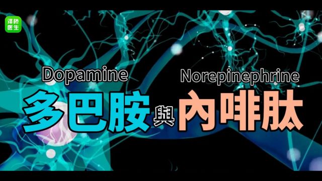 彻底搞懂多巴胺VS内啡肽,让你实现了真正的自律!