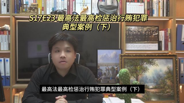 S17E23 最高法最高检惩治行贿犯罪典型案例(下)