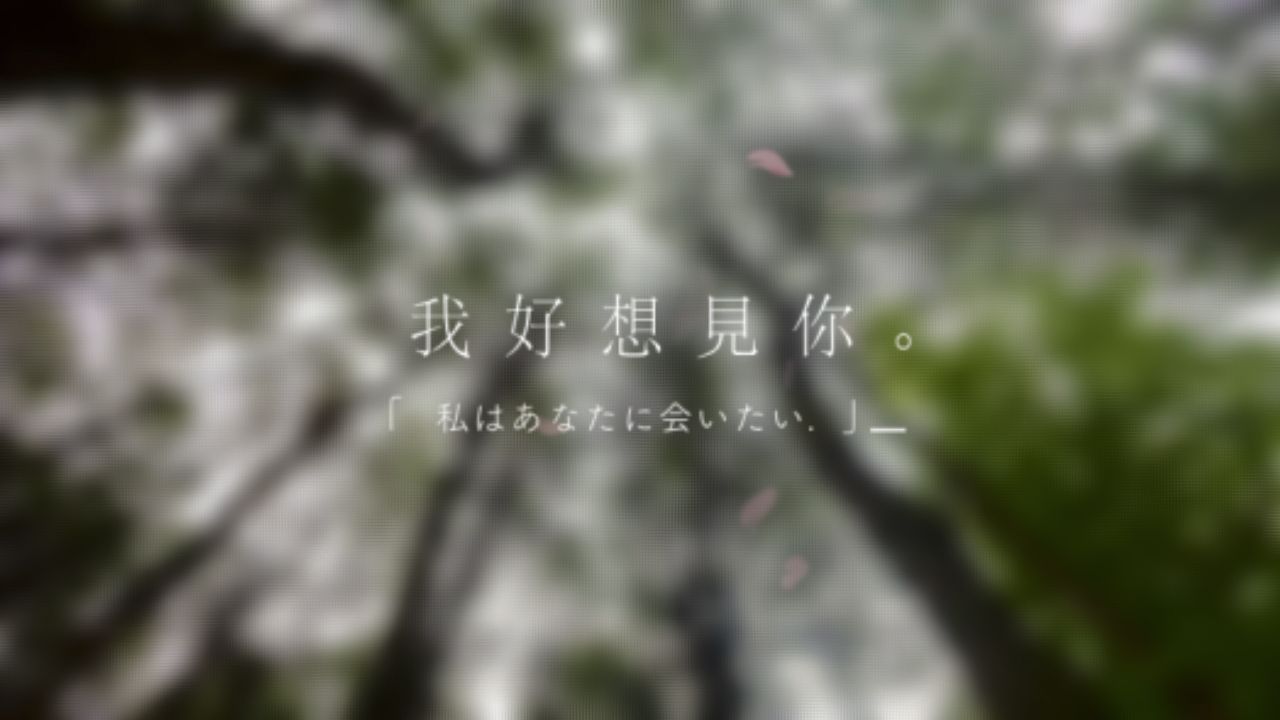 罗梓信《枫》mv