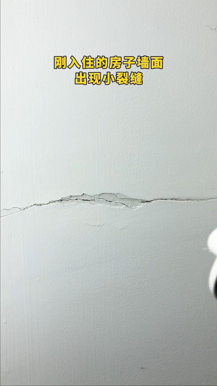 刚入住的房子墙面出现小裂缝,该如何是好?
