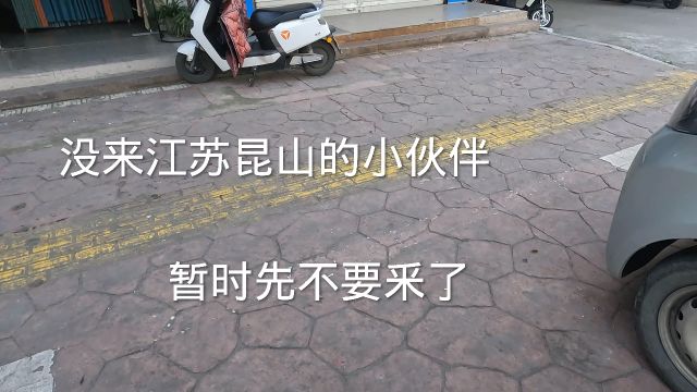 各位小伙伴们没来江苏昆山找工作的,暂时先不要来了