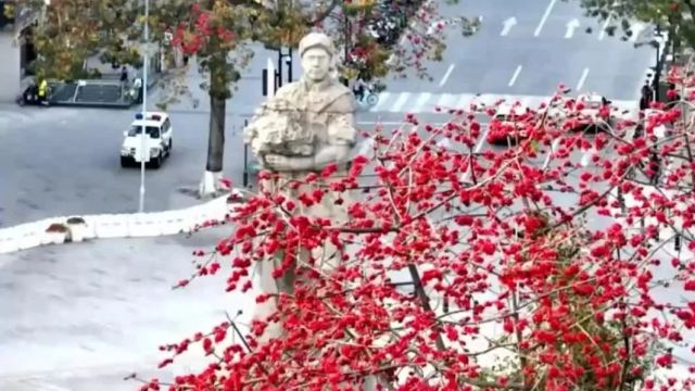 一朵花 一座城 哈尔滨市花丁香花在广州塔“绽放”