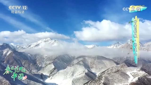 花开陇上一片香,共赏甘肃好风光