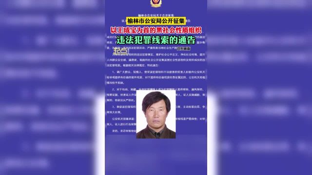 榆林市公安局关于公开征集以王成宝为首的黑社会性质组织违法犯罪线索的通告