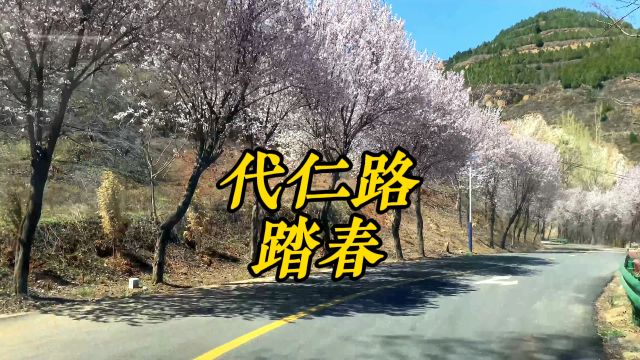 年年岁岁花开花落,岁岁月月人来人往