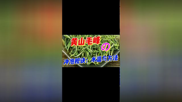 黄山毛峰条索细扁,形似“雀舌”,芽肥壮、匀齐、多毫;香气清鲜高长;滋味鲜浓、醇厚,回味甘甜 #茶