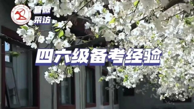 文理专访|速看!四六级备考攻略