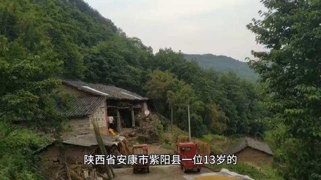 13岁女孩尸体缺东西不完整,这是真的吗?网上说,陕西省安康市紫阳县失踪的13岁少女韩如意身上缺了部分,是不是谣言?