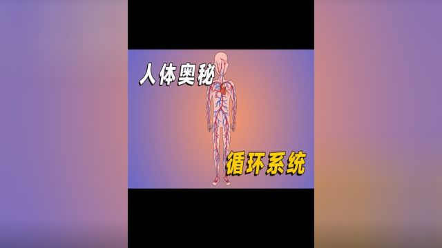 为什么血管看起来是蓝色的?动画解读人体血液循环系统的奥秘#涨知识