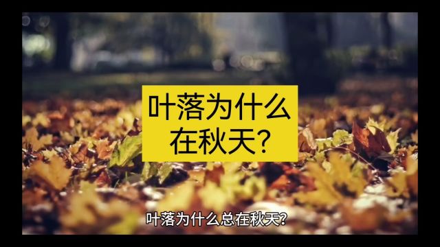 叶落为什么在秋天?