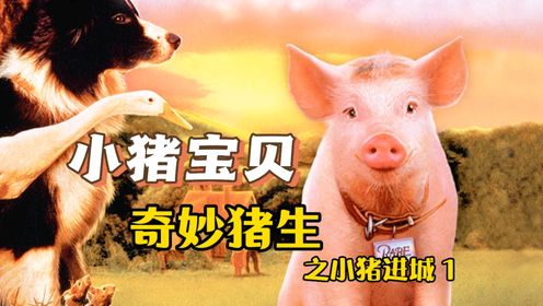 小猪成为牧羊猪，主人第一次带它进城，会发生怎样的奇遇，片名《小猪宝贝2》