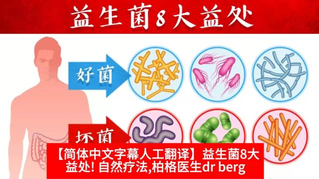 【简体中文字幕人工翻译】益生菌8大益处! 自然疗法,柏格医生dr berg