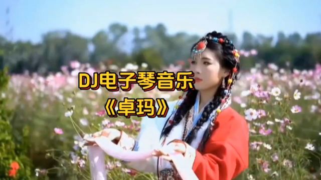 周末放松!DJ电子琴音乐《卓玛》