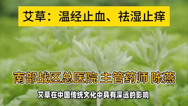 艾草:温经止血、祛湿止痒