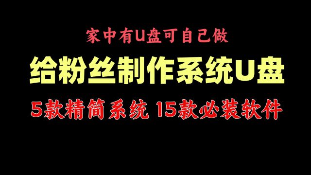 给粉丝制作系统U盘,5款精简系统,15款电脑必装软件