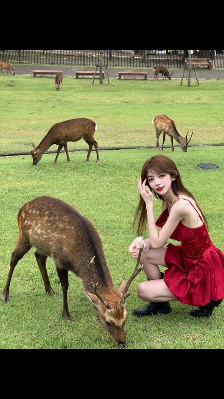小鹿真的可爱啦