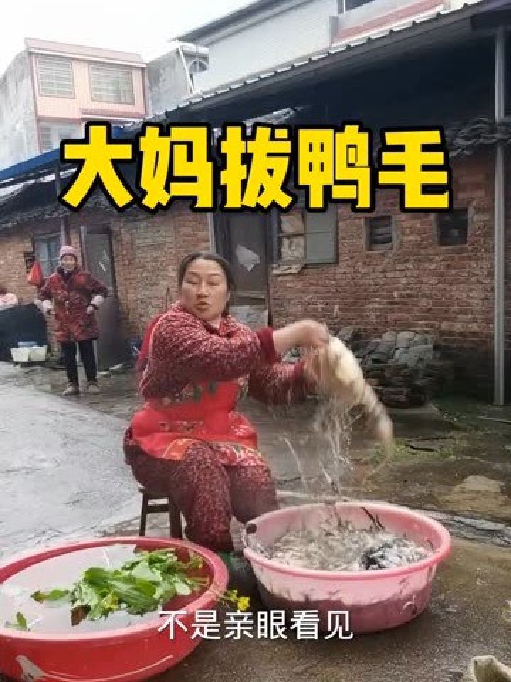 大妈拔鸭毛