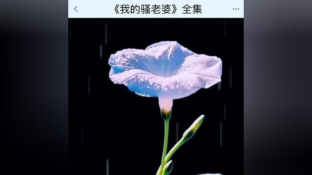 《我的骚老婆》点击下方查看后续精彩内容