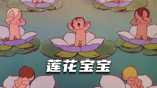 莲花宝宝的快乐时光