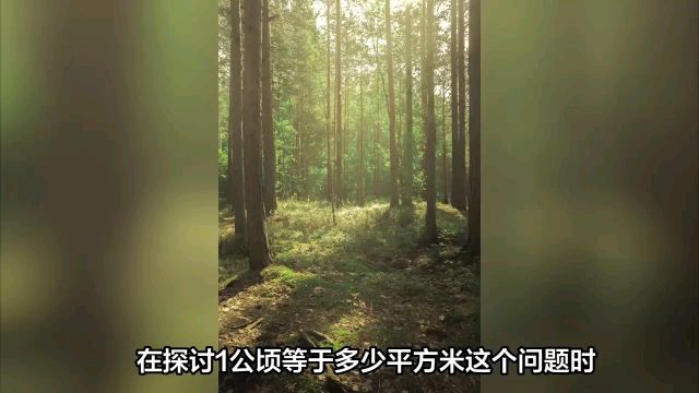 一公顷等于多少平方米?