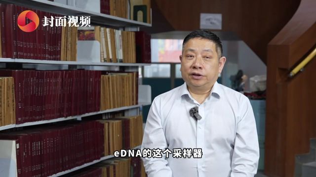 eDNA监测技术如何通过水样鉴定水生生物?| 科技有狠活