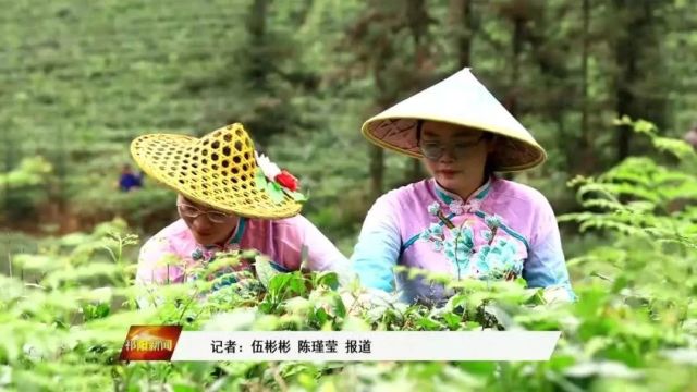 祁阳肖家镇:乡村游助力乡村振兴“加速跑”