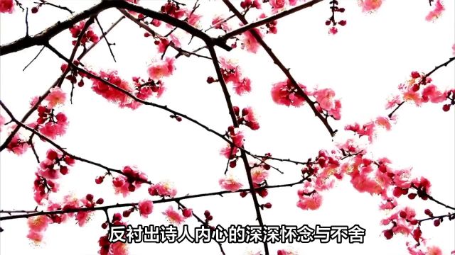 韩愈的《感春五首》是一组描绘春天景色的诗歌,其中融入了诗人深深的个人情感,展现了韩愈独特的诗歌风格和深厚的人文情怀