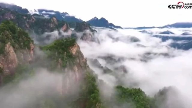 美丽中国|中华名山系列《河南老界岭》百里伏牛凌绝顶,长江黄河分水岭(5A)