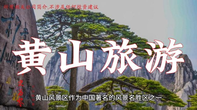 一天一家上市公司 | 黄山旅游