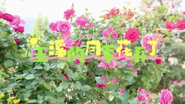 看球赛、赏美景,一键开启“慢生活”!