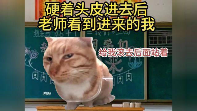 #人间真实#上课日常#开学#开学后的精神状态#猫咪表情包