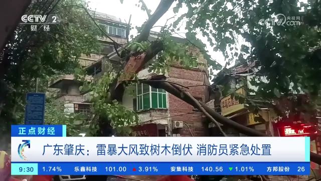 罕见飑线横扫广东省 珠三角地区多地出现大暴雨