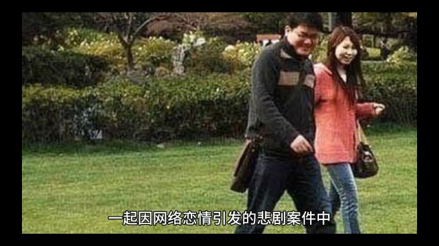 网洛恋情悲剧收场,杨立新案嫌疑人落网