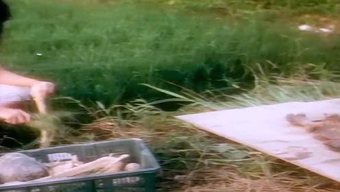 《猛鬼山坟》，一口气看完1989年上映的恐怖老片。# 惊悚电影 # 影视解说  