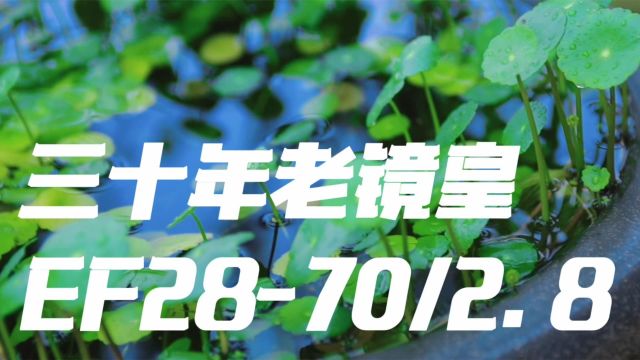 收藏级佳能三十年老镜皇 一代三元之首EF2870/2.8实景拍摄参考