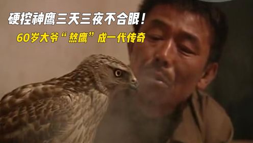 人间放映厅硬控神鹰三天三夜不合眼,吉林60岁大爷”熬鹰“成一代传奇!_高清完整版视频在线观看_腾讯视频