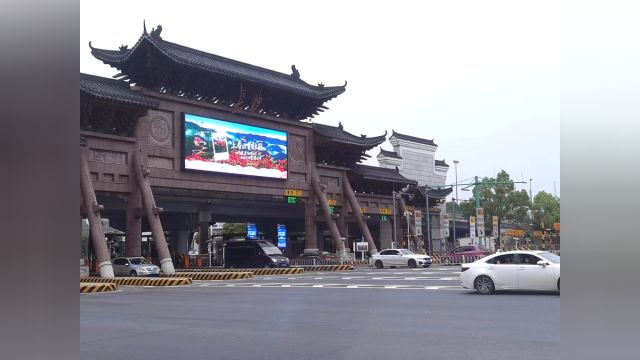 欢迎进入繁花世界!红网千屏联播邀你来阳明山上春山赏杜鹃