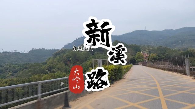 大岭山系列之新溪路,登山观景、休闲垂钓还是赏花游玩.#大岭山#大岭山森林公园#风景都在路上