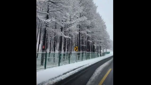 2024年4月28日,河北承德塞罕坝下起鹅毛大雪.