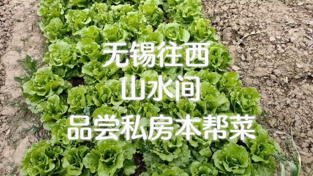 无锡往西,山水间,品尝私房本帮菜