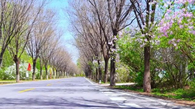 实地探访 “最美乡村路”——延庆