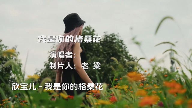 一曲原唱《你是我的格桑花》词曲凄美伤感,深情感人,催人泪下