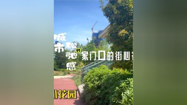 城市松弛感 家门口的街心花园|集乐里街心花园 感受绿意盎然