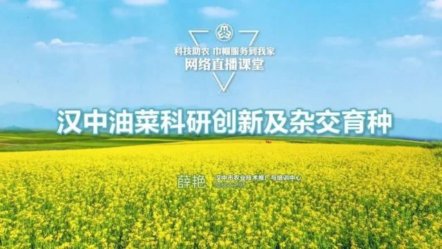 科技助农云课堂 | 关于油菜育种栽培,你需要了解的都在这儿